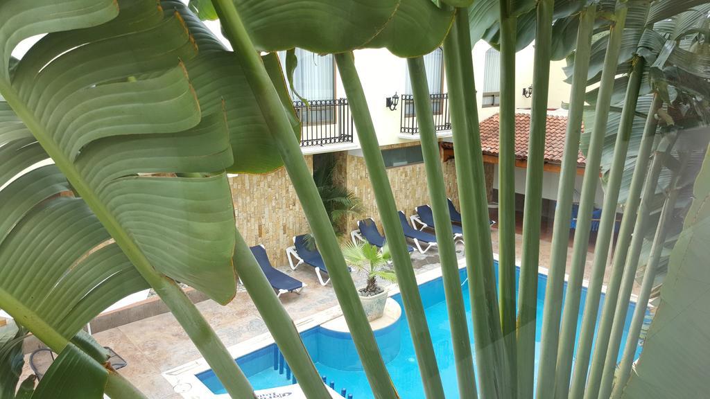 Hotel Dubrovnik Mérida Oda fotoğraf