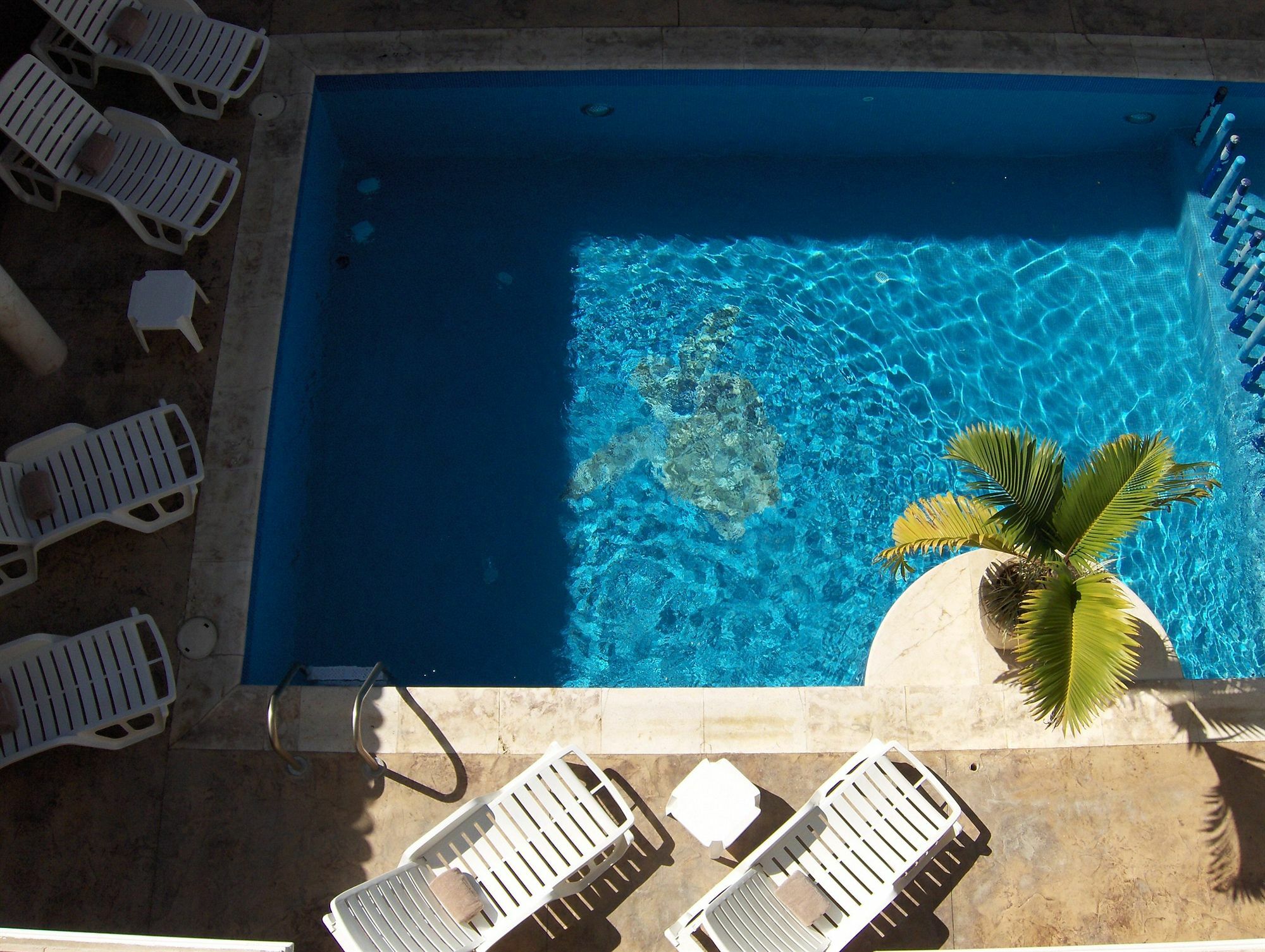 Hotel Dubrovnik Mérida Dış mekan fotoğraf